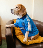 Camisetas Oasis 2025 ✨